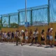 1536x864_cmsv2_e9c3eb73 4b69 5de7 8741 e9c428e8a54f 9859348 1 80x80
