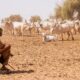2022 senegal _c_ sarah freres imagine 1 80x80